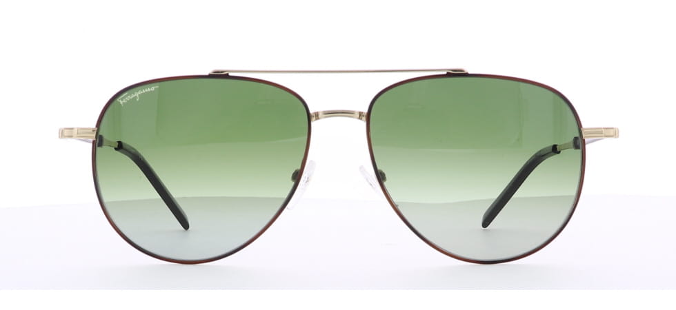 Image of Salvatore Ferragamo Eyewear Frames