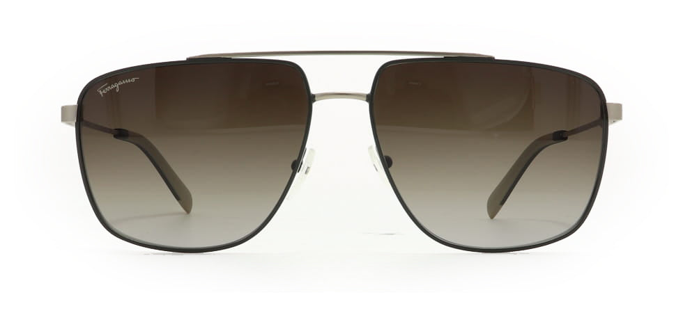 Image of Salvatore Ferragamo Eyewear Frames