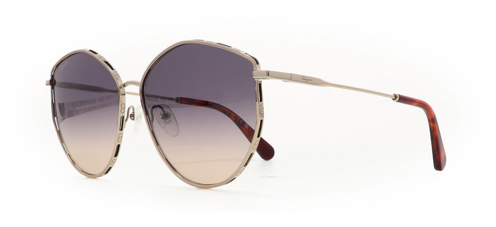 Image of Salvatore Ferragamo Eyewear Frames