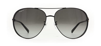 Image of Salvatore Ferragamo Eyewear Frames