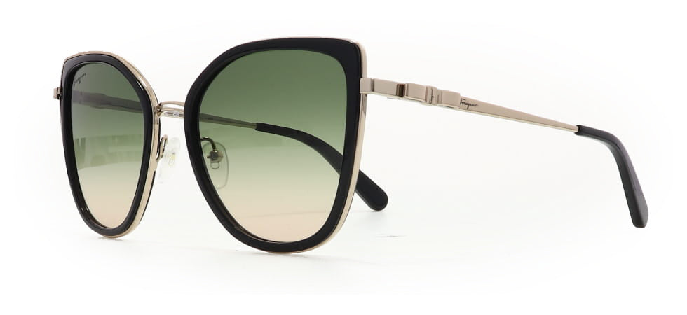 Image of Salvatore Ferragamo Eyewear Frames