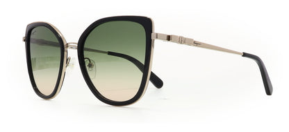 Image of Salvatore Ferragamo Eyewear Frames