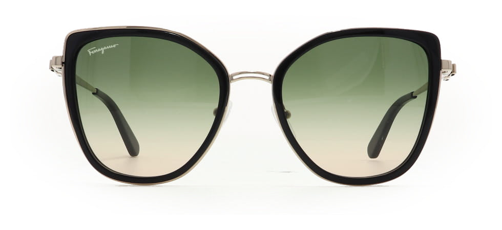Image of Salvatore Ferragamo Eyewear Frames
