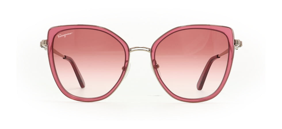 Image of Salvatore Ferragamo Eyewear Frames