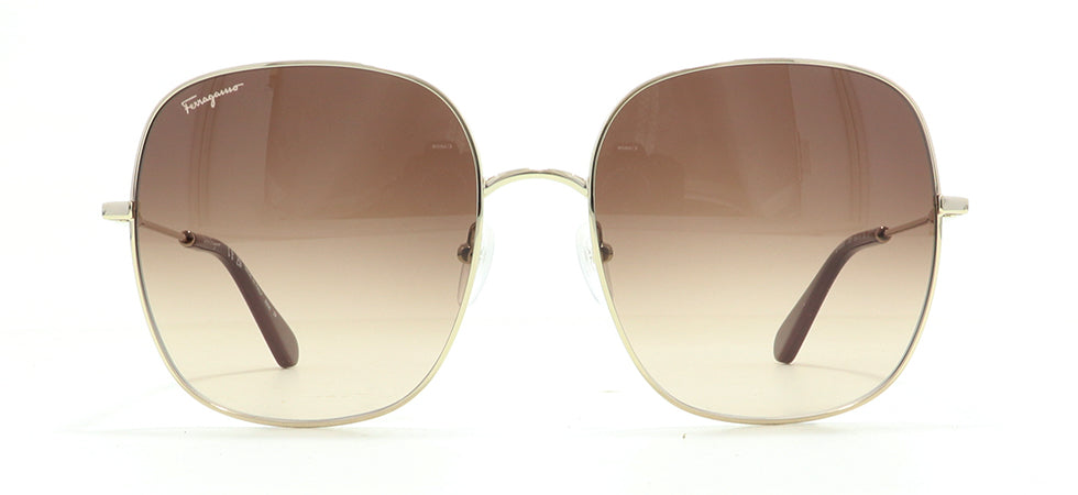 Image of Salvatore Ferragamo Eyewear Frames