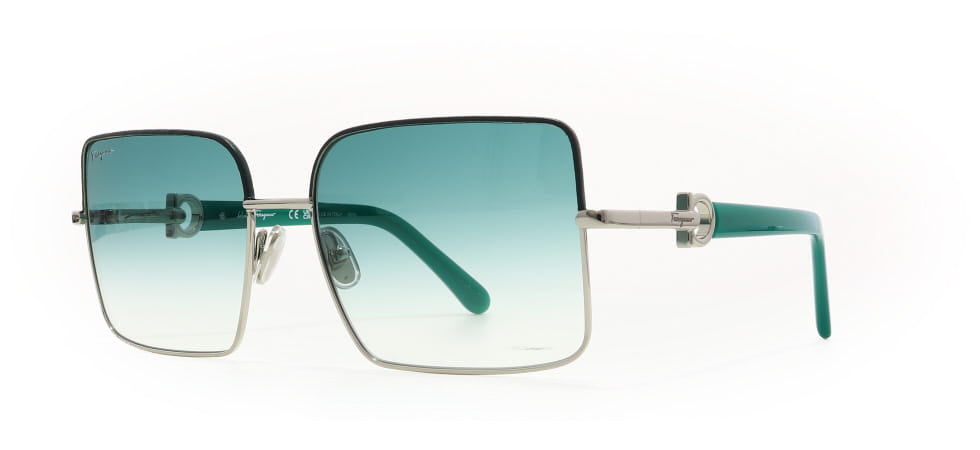 Image of Salvatore Ferragamo Eyewear Frames