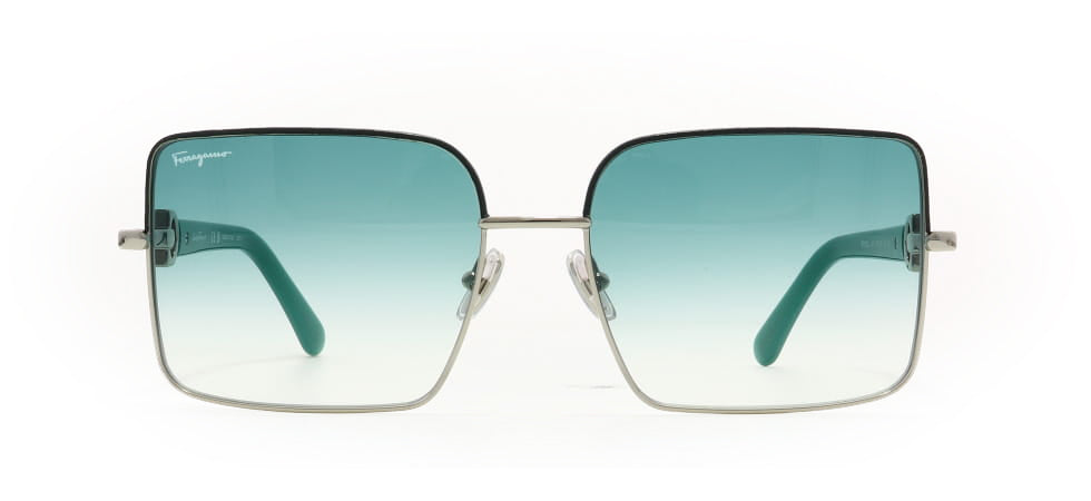 Image of Salvatore Ferragamo Eyewear Frames