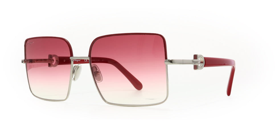 Image of Salvatore Ferragamo Eyewear Frames