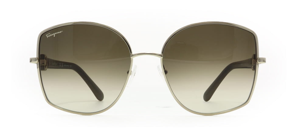 Image of Salvatore Ferragamo Eyewear Frames