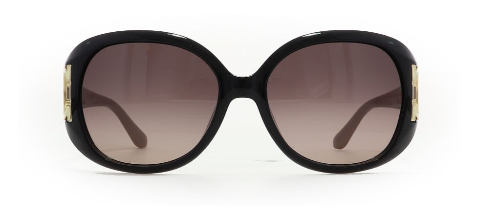Image of Salvatore Ferragamo Eyewear Frames