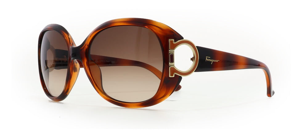 Image of Salvatore Ferragamo Eyewear Frames