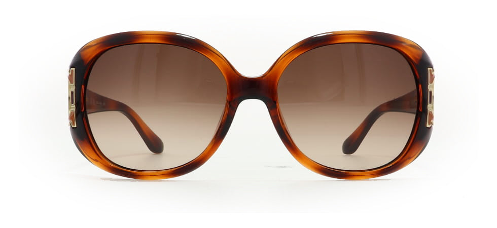 Image of Salvatore Ferragamo Eyewear Frames
