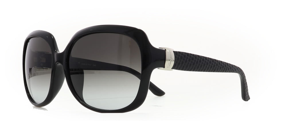 Image of Salvatore Ferragamo Eyewear Frames