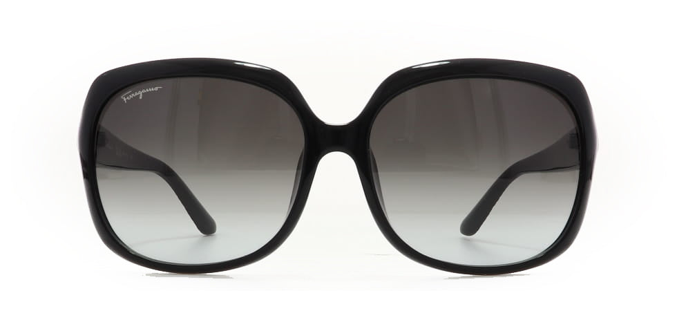 Image of Salvatore Ferragamo Eyewear Frames