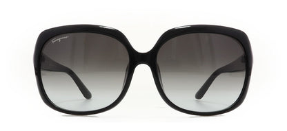 Image of Salvatore Ferragamo Eyewear Frames