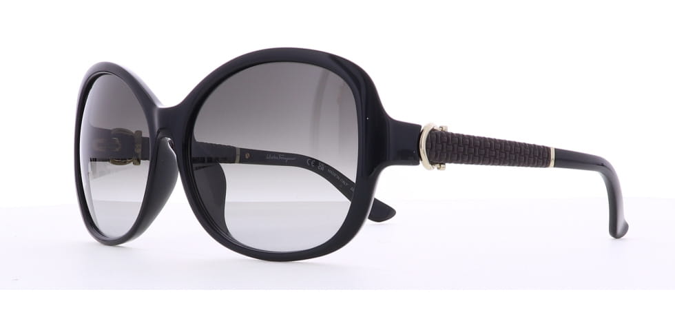 Image of Salvatore Ferragamo Eyewear Frames