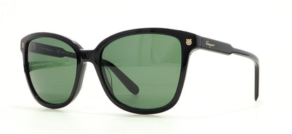 Image of Salvatore Ferragamo Eyewear Frames