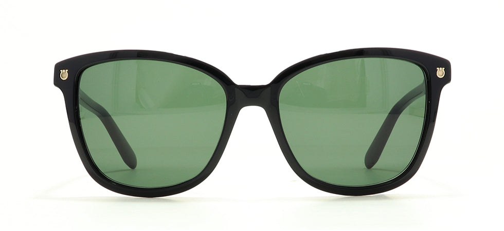 Image of Salvatore Ferragamo Eyewear Frames