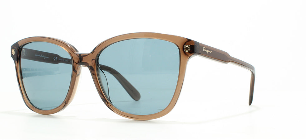 Image of Salvatore Ferragamo Eyewear Frames