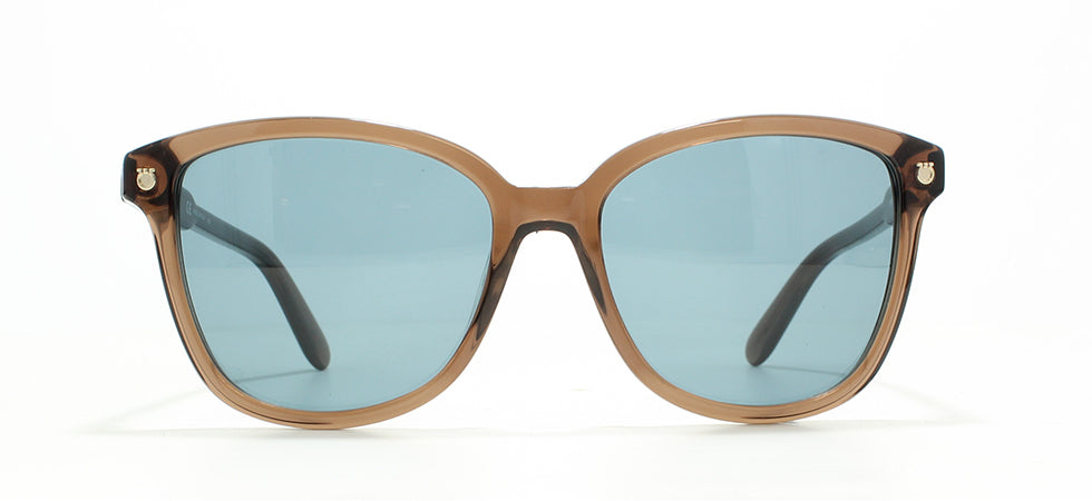 Image of Salvatore Ferragamo Eyewear Frames