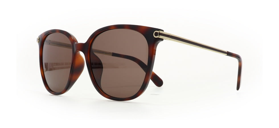 Image of Salvatore Ferragamo Eyewear Frames