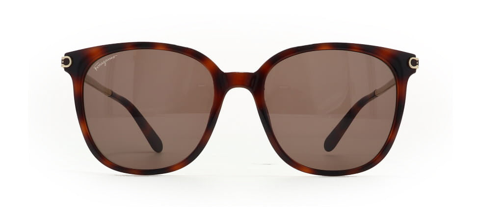 Image of Salvatore Ferragamo Eyewear Frames