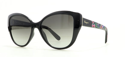 Image of Salvatore Ferragamo Eyewear Frames