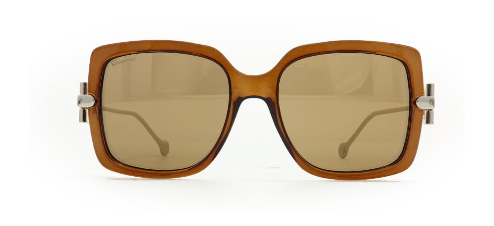 Image of Salvatore Ferragamo Eyewear Frames