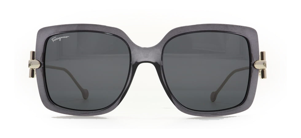 Image of Salvatore Ferragamo Eyewear Frames