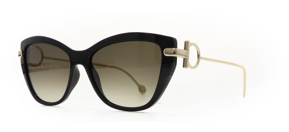 Image of Salvatore Ferragamo Eyewear Frames