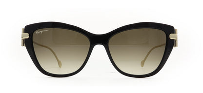 Image of Salvatore Ferragamo Eyewear Frames