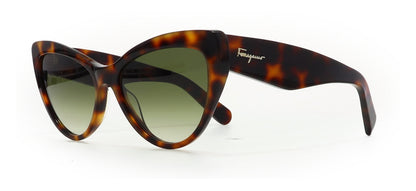 Image of Salvatore Ferragamo Eyewear Frames