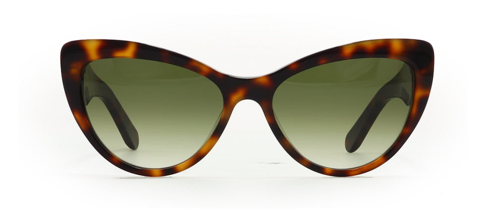 Image of Salvatore Ferragamo Eyewear Frames