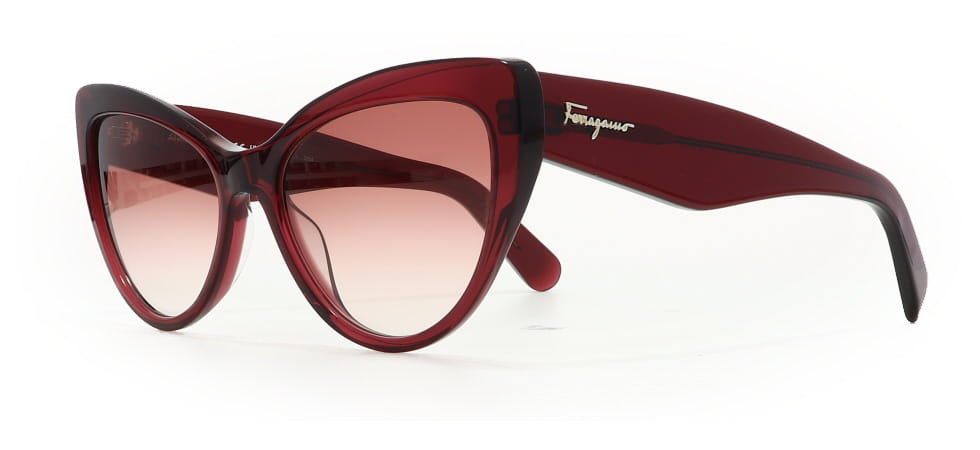 Image of Salvatore Ferragamo Eyewear Frames