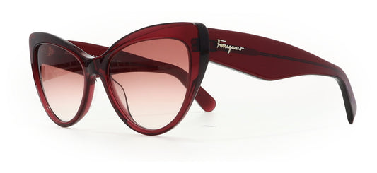 Image of Salvatore Ferragamo Eyewear Frames