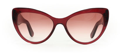 Image of Salvatore Ferragamo Eyewear Frames