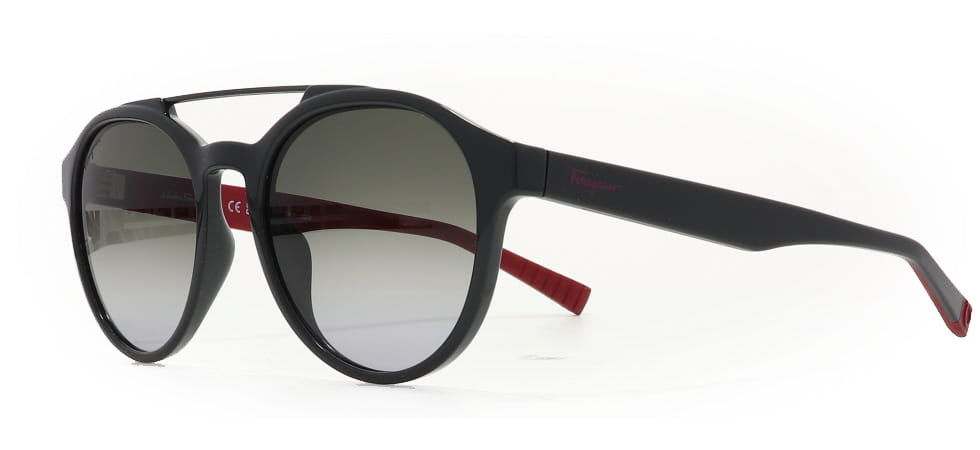 Image of Salvatore Ferragamo Eyewear Frames