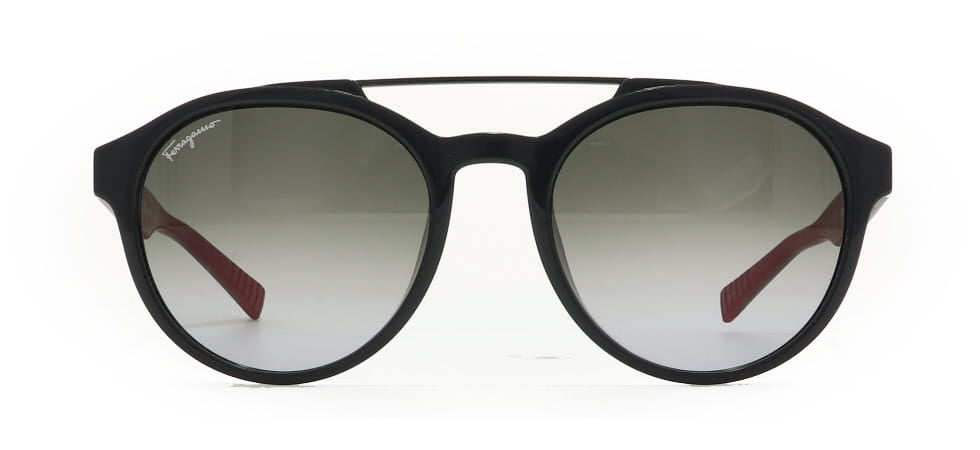 Image of Salvatore Ferragamo Eyewear Frames