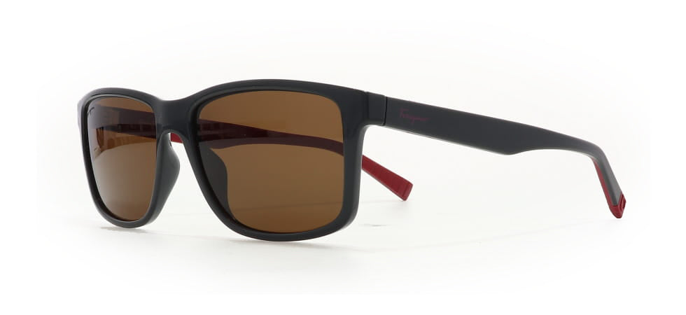 Image of Salvatore Ferragamo Eyewear Frames