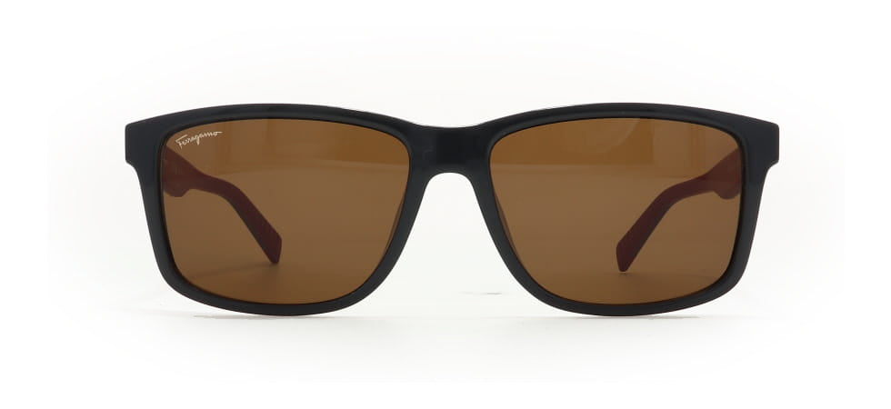 Image of Salvatore Ferragamo Eyewear Frames