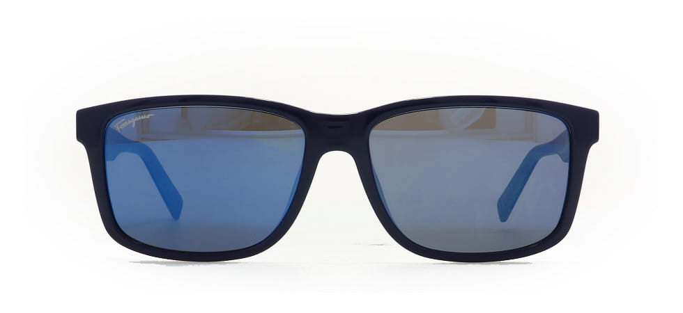 Image of Salvatore Ferragamo Eyewear Frames