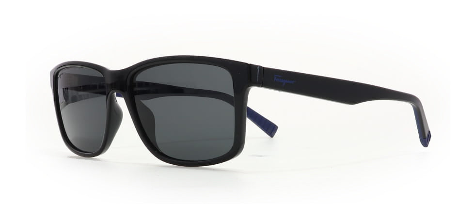 Image of Salvatore Ferragamo Eyewear Frames