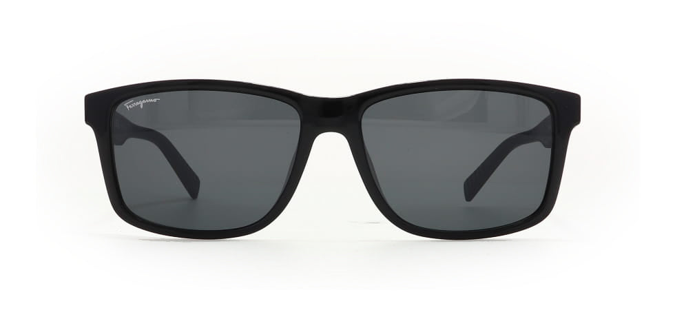 Image of Salvatore Ferragamo Eyewear Frames