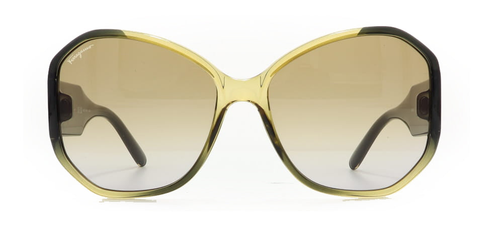 Image of Salvatore Ferragamo Eyewear Frames