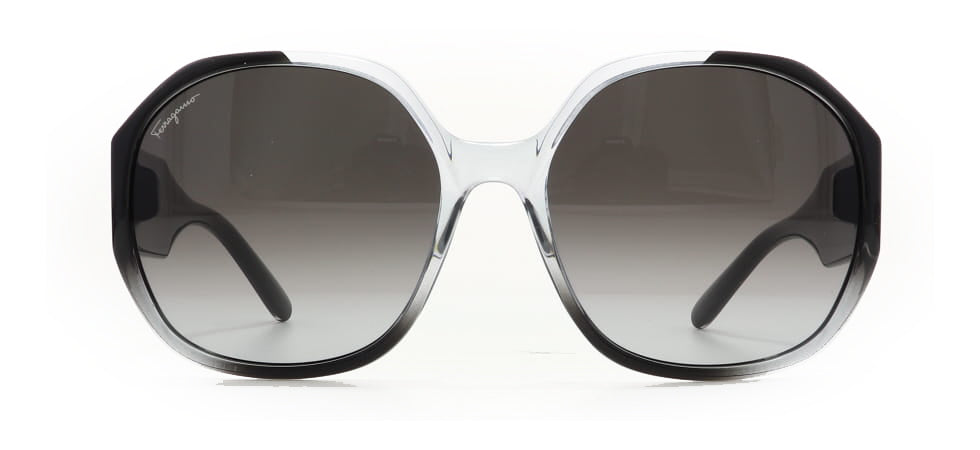 Image of Salvatore Ferragamo Eyewear Frames