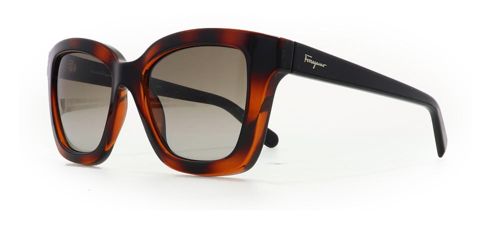 Image of Salvatore Ferragamo Eyewear Frames