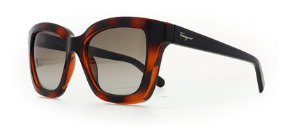 Image of Salvatore Ferragamo Eyewear Frames