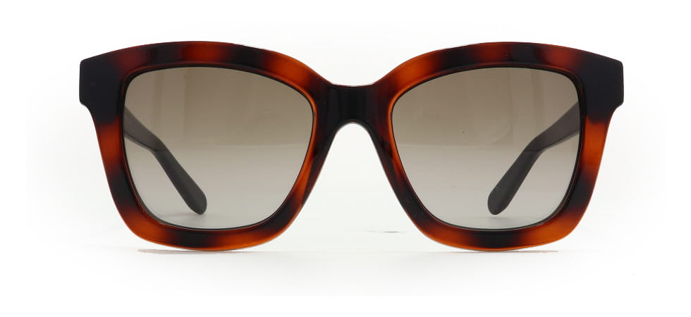 Image of Salvatore Ferragamo Eyewear Frames