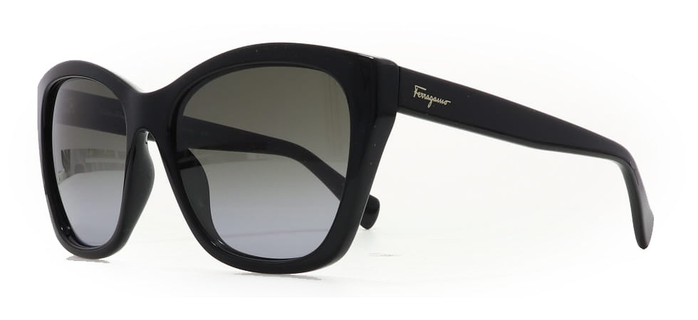 Image of Salvatore Ferragamo Eyewear Frames