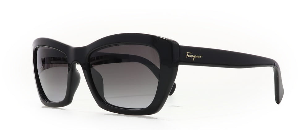 Image of Salvatore Ferragamo Eyewear Frames